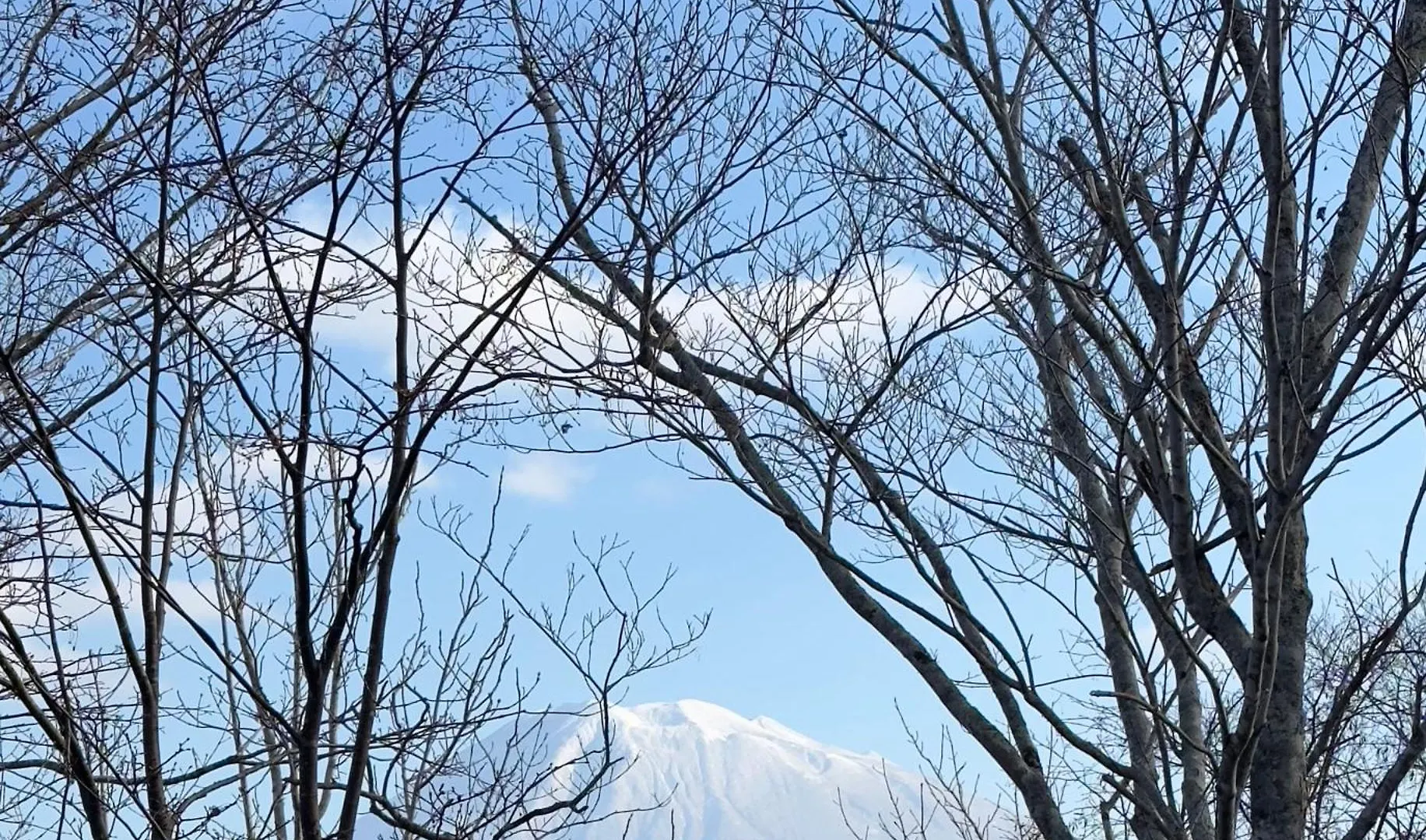 Tobari 帷 Niseko Hanazono Kutchan