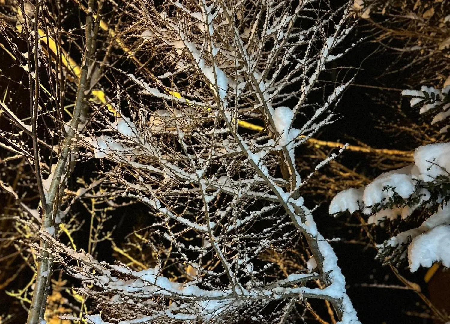 Tobari 帷 Niseko Hanazono Kutchan Σαλέ