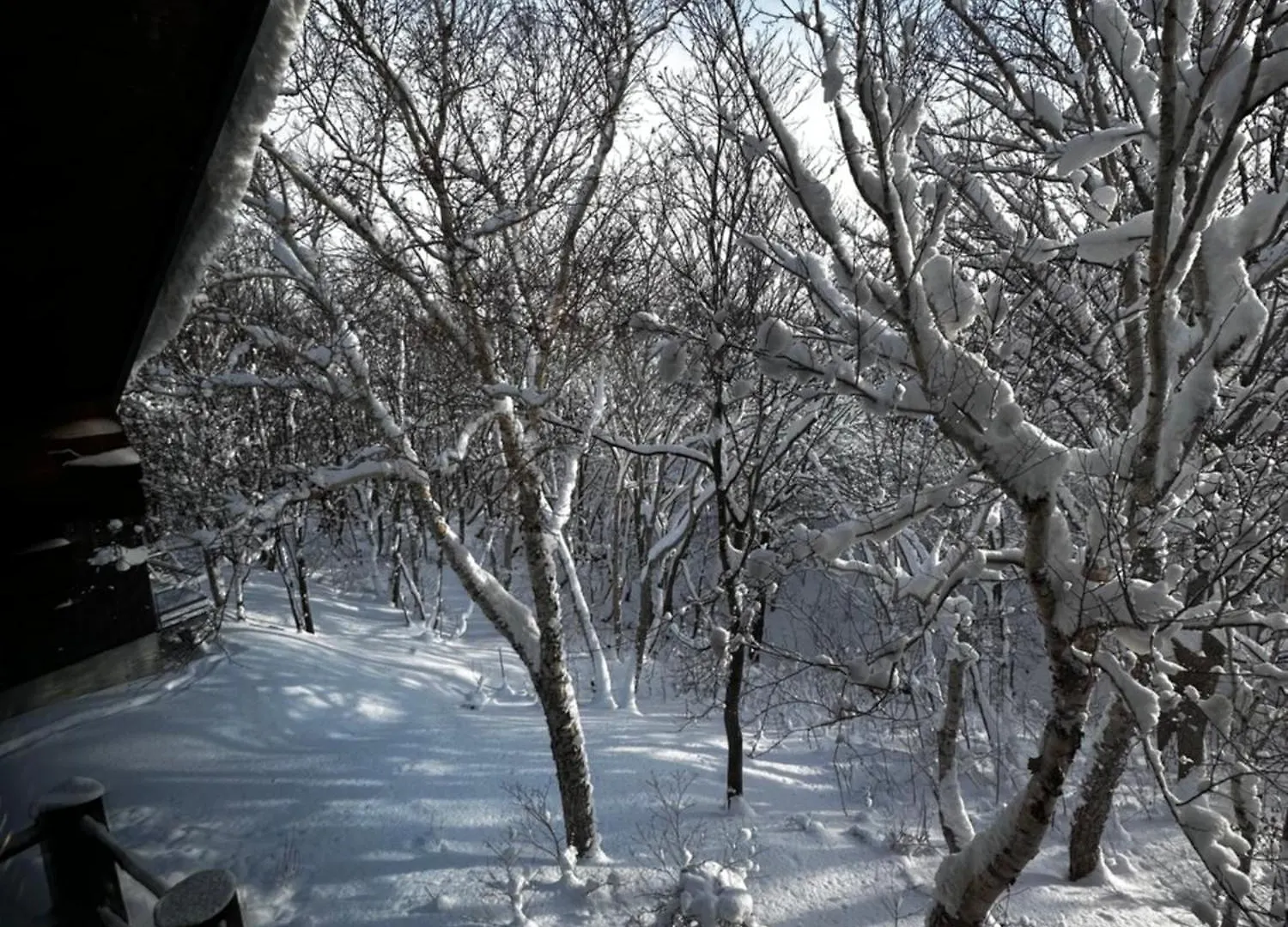 Tobari 帷 Niseko Hanazono Kutchan