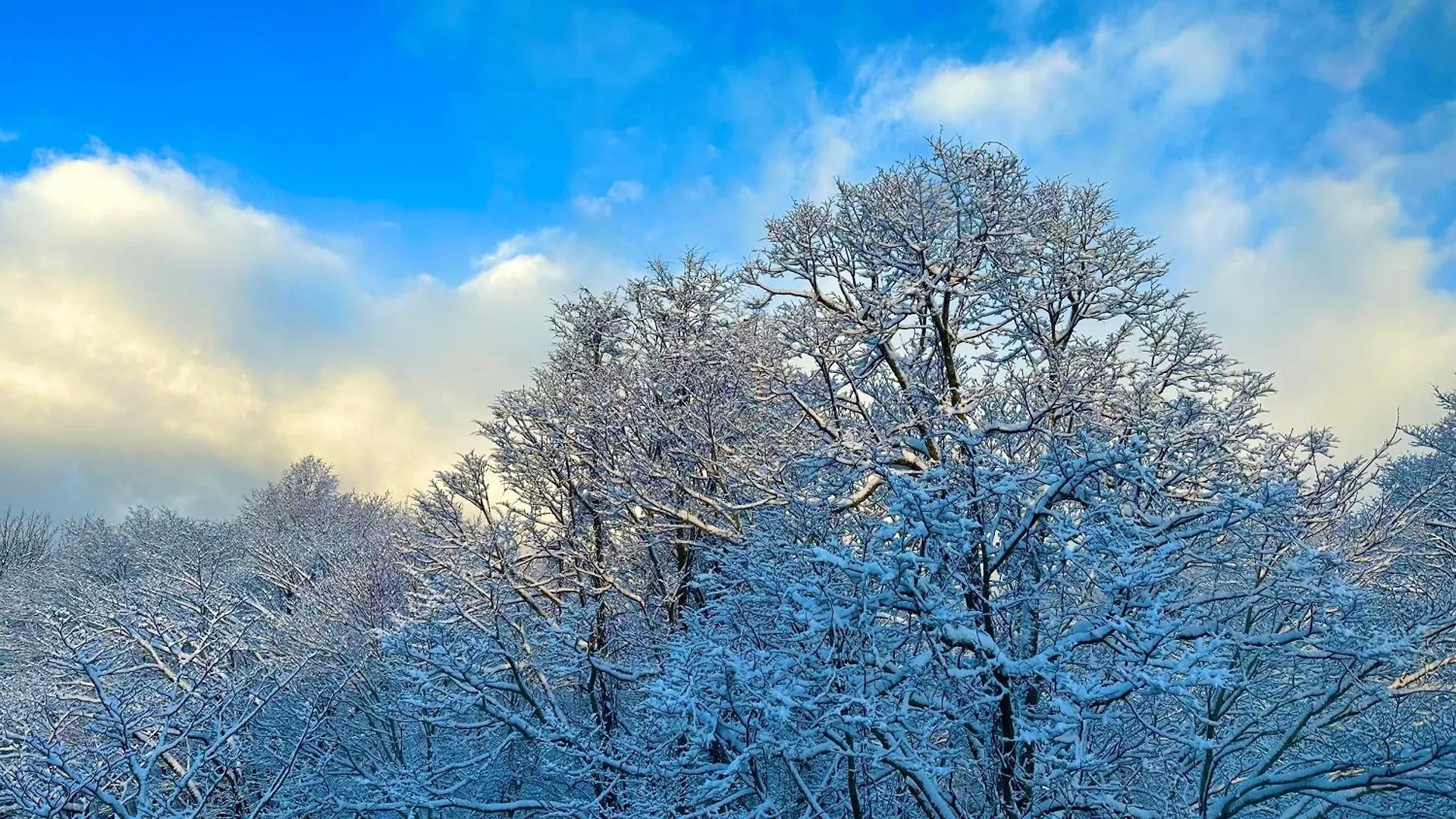 Tobari 帷 Niseko Hanazono Kutchan 0*,  Ιαπωνία